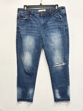 life in progress Distressed Boyfriend Cropped Jeans in Blue 26